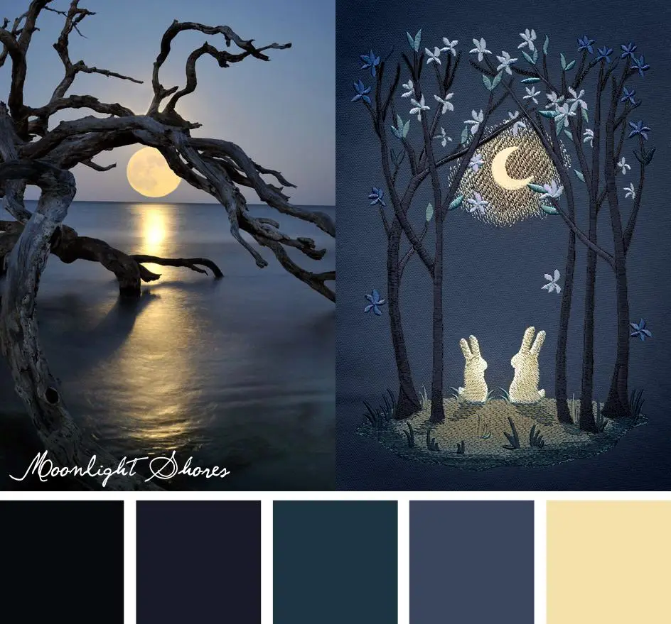 Colorway — Moonlight Shores